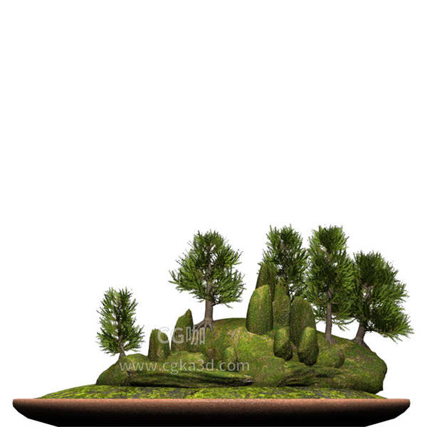 CG咖-雪松模型盆景模型树木模型香柏树模型杉木模型