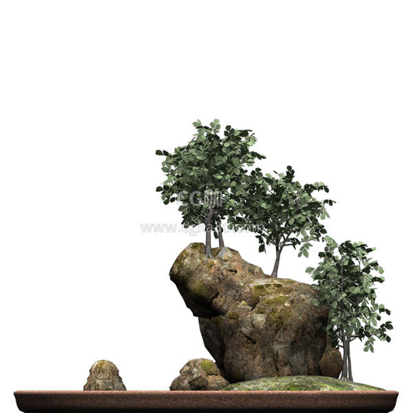 CG咖-榆树模型光叶榆模型树木模型盆景模型景观树模型
