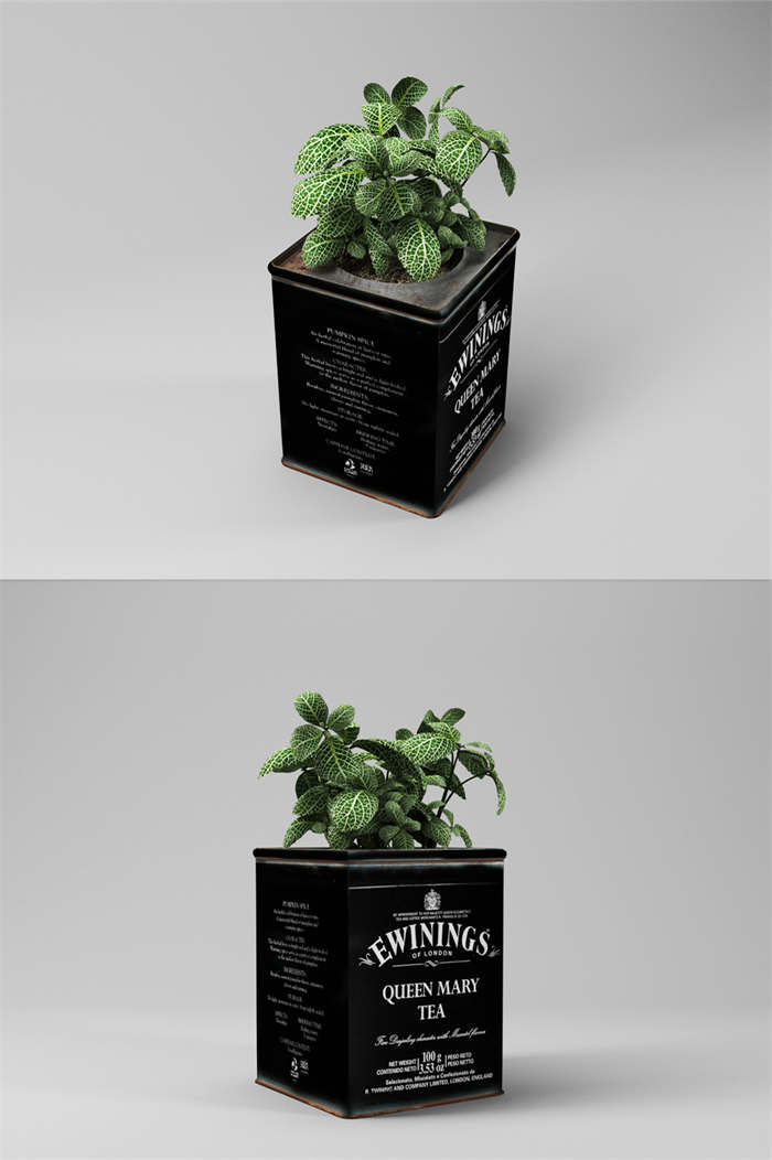 CG咖-茶叶盒模型包装铁盒模型绿植模型