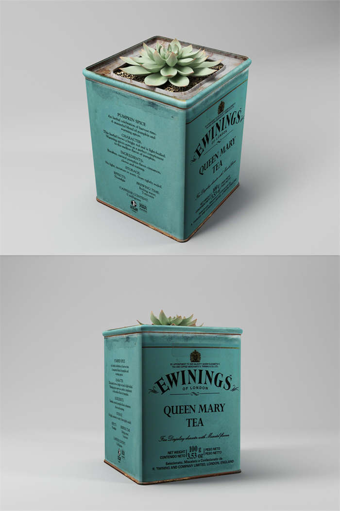 CG咖-茶叶盒模型包装铁盒模型多肉模型