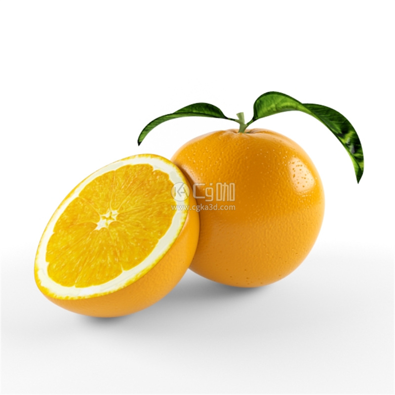CG咖-水果模型橙子模型橘子模型