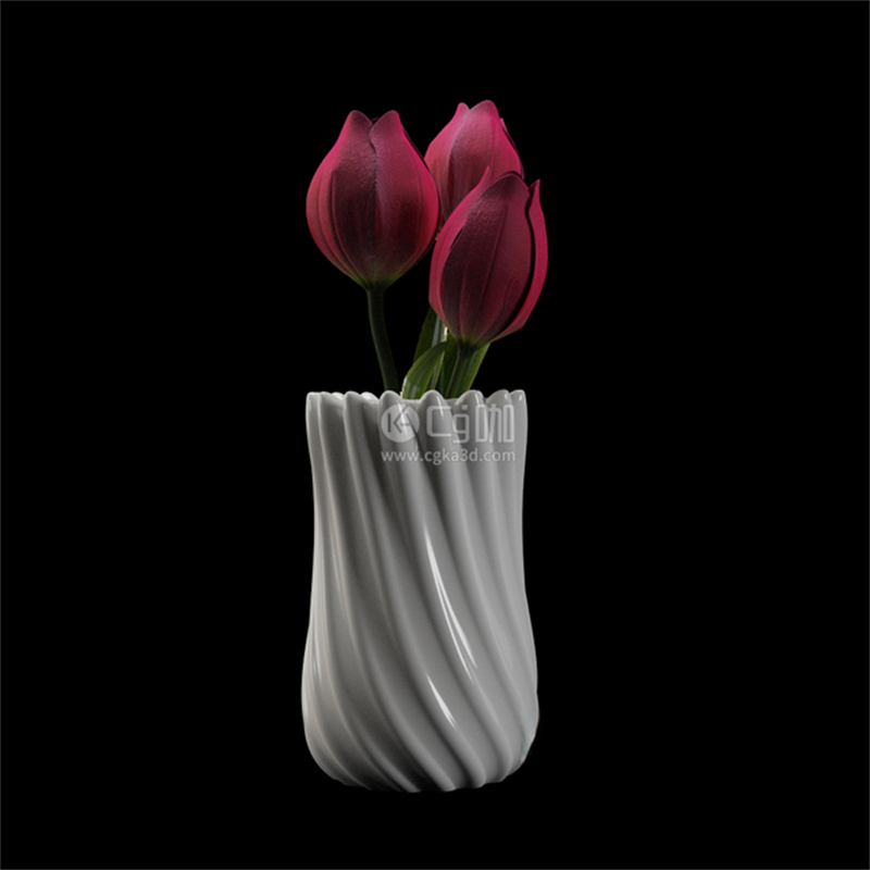 CG咖-鲜花模型花卉模型郁金香模型花瓶模型