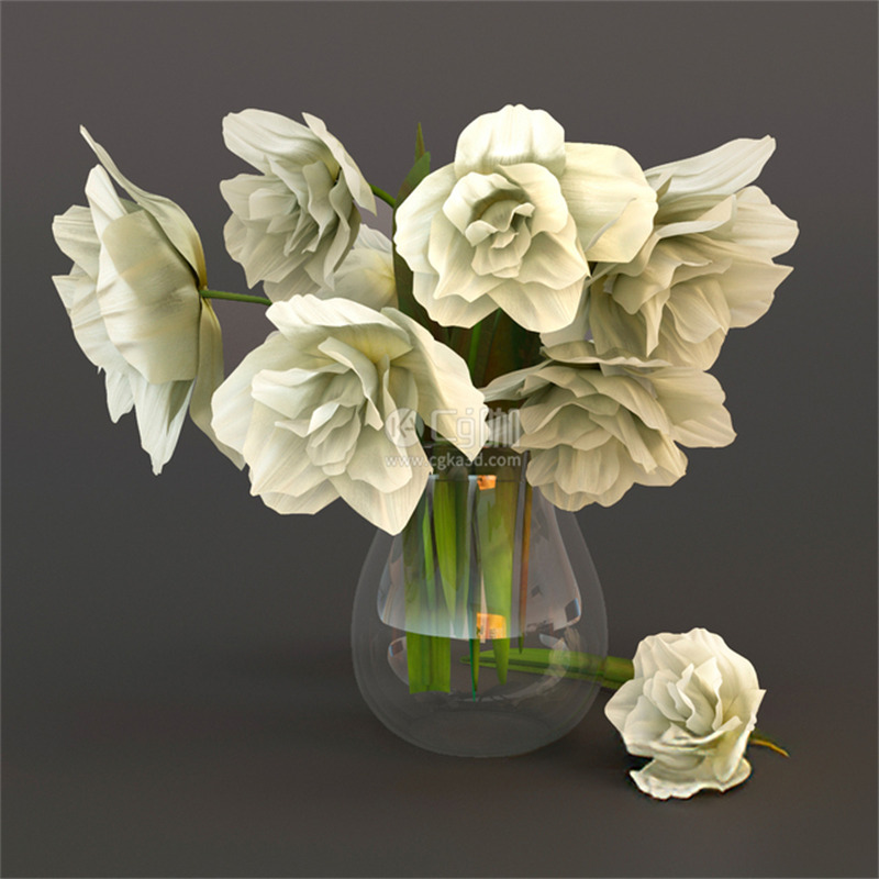 CG咖-鲜花模型花卉模型白色郁金香模型