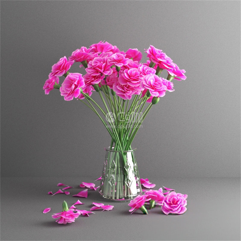 CG咖-鲜花模型花卉模型石竹花模型洛阳花模型花瓶模型