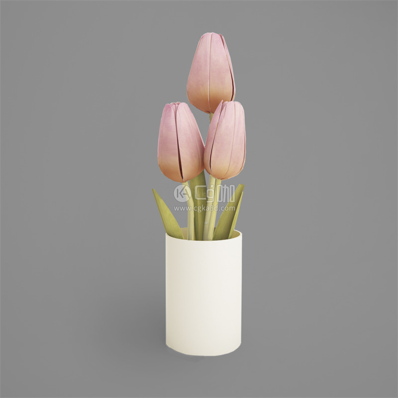 CG咖-鲜花模型花卉模型粉色郁金香模型花瓶模型