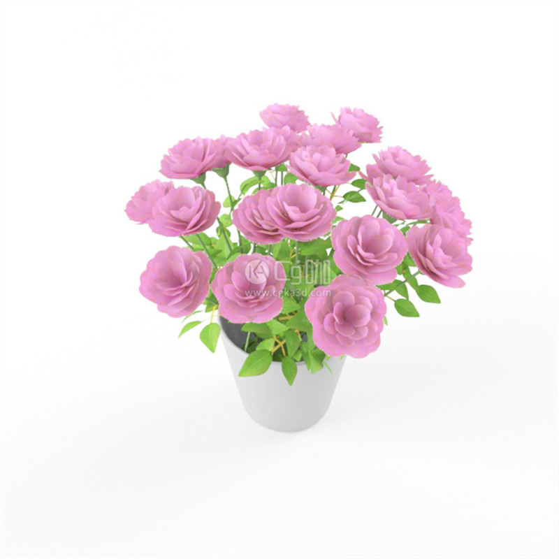 CG咖-鲜花模型花卉模型粉色玫瑰模型花盆模型