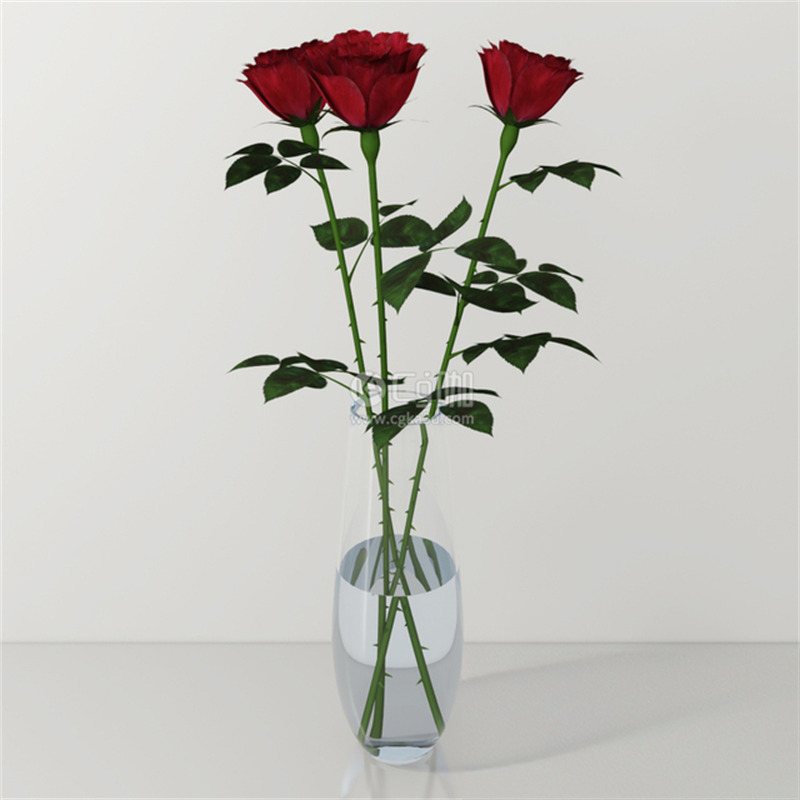 CG咖-鲜花模型花卉模型花瓶模型红玫瑰模型玫瑰花模型