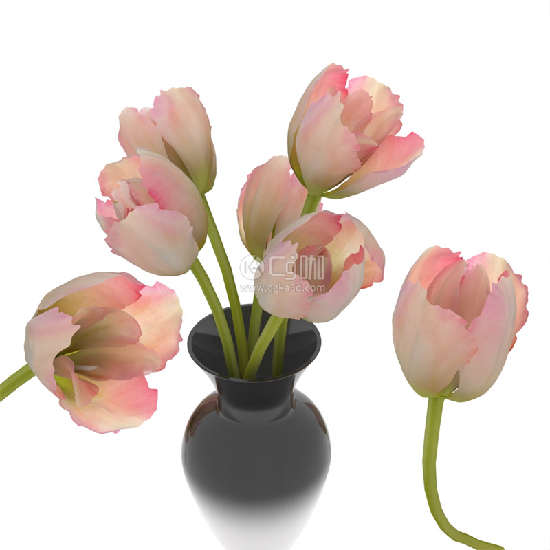 CG咖-郁金香模型鲜花模型花卉模型陶瓷花瓶模型