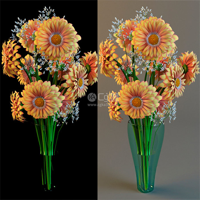 CG咖-鲜花模型花卉模型非洲菊模型菊花模型