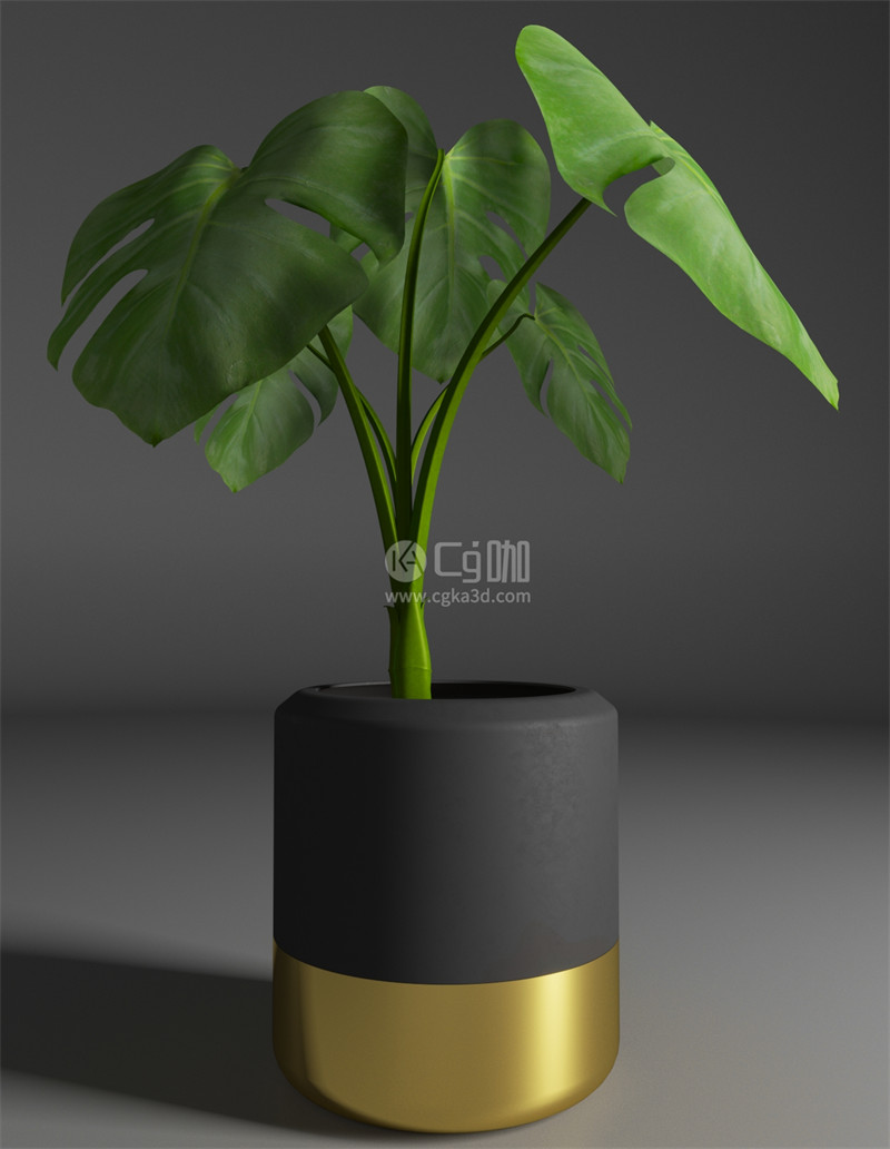 CG咖-龟背竹模型盆栽模型绿植模型花盆模型