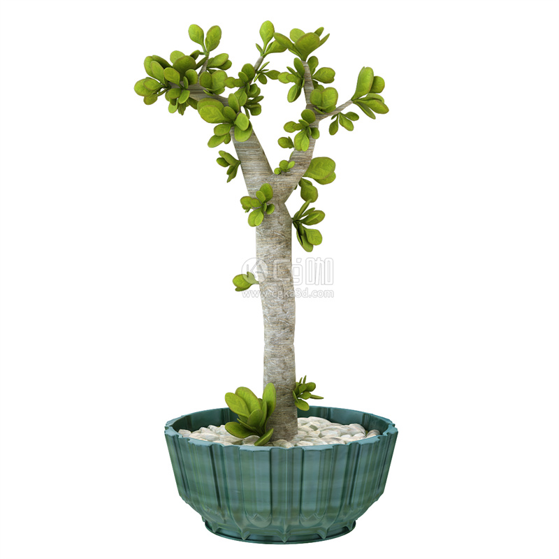 CG咖-落地盆栽模型绿植模型花盆模型盆景模型小树模型