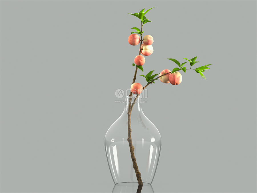 CG咖-玻璃花瓶模型桃子模型桃树枝模型