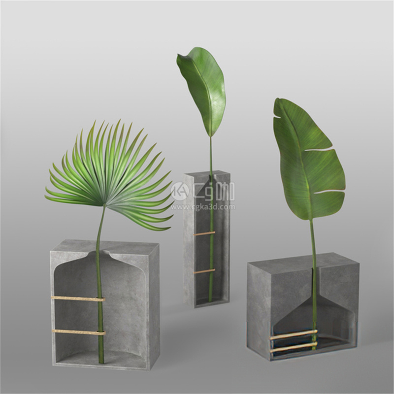 CG咖-现代水泥花盆模型绿植模型