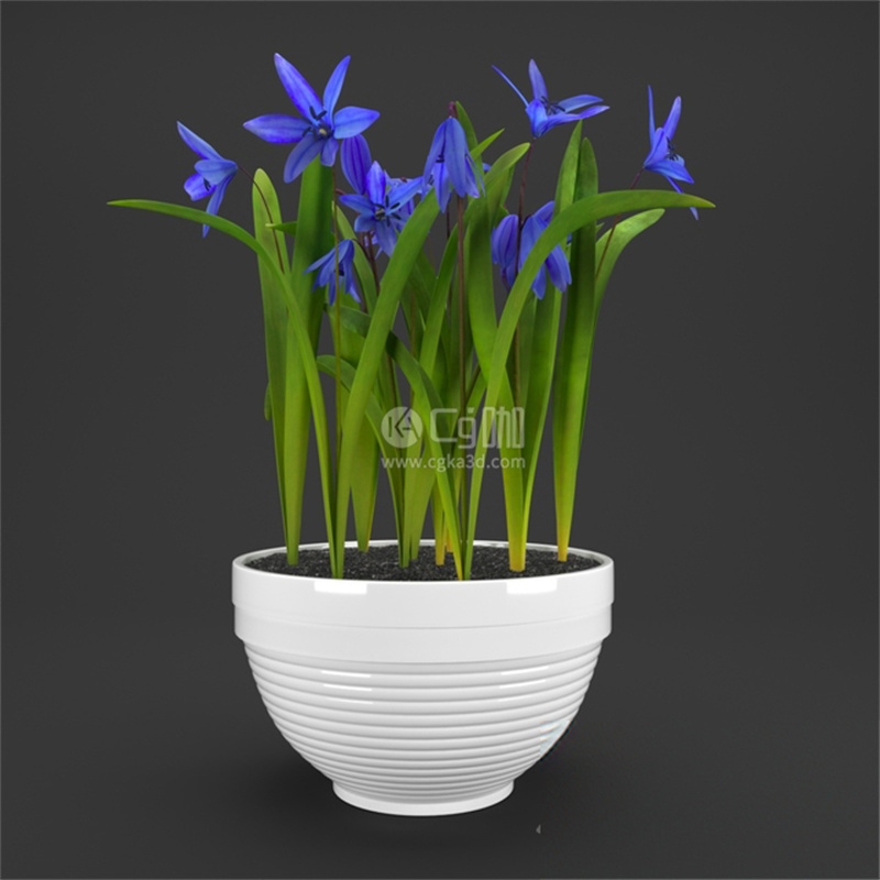 CG咖-蓝色花模型盆栽模型鲜花模型花盆模型