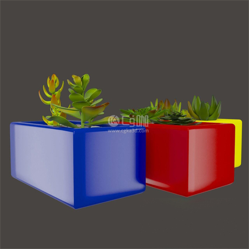 CG咖-多肉模型装饰小盆栽模型小绿植模型