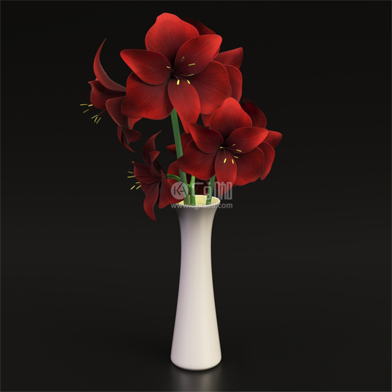 CG咖-朱顶红模型鲜花模型花卉模型花瓶模型
