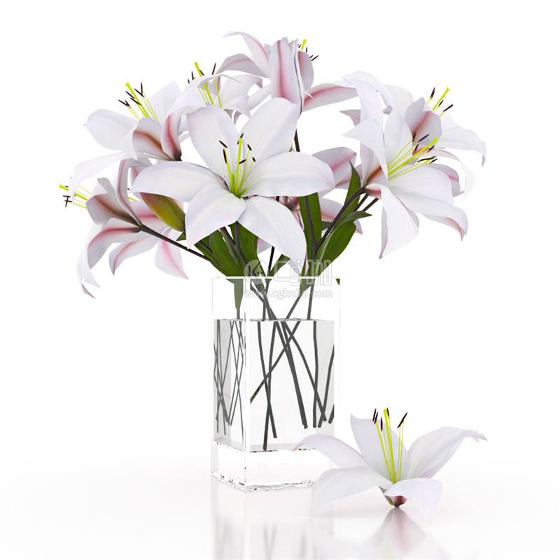 CG咖-百合花模型鲜花模型花卉模型花瓶模型