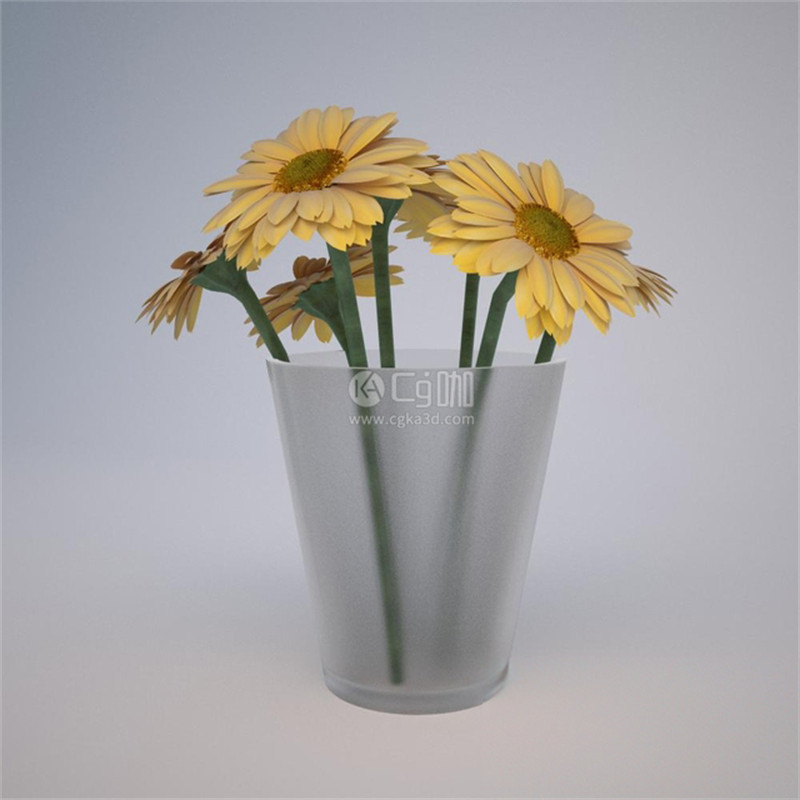 CG咖-非洲菊模型菊花模型鲜花模型花卉模型花瓶模型