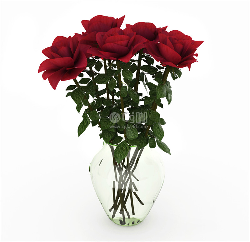 CG咖-红玫瑰模型鲜花模型花卉模型花瓶模型玫瑰花模型