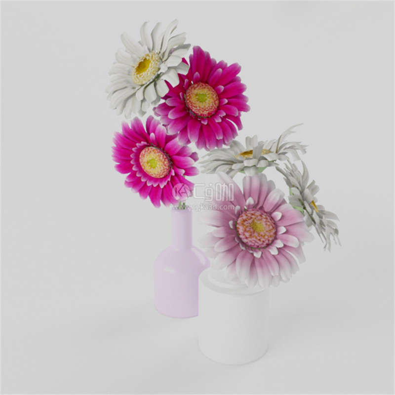 CG咖-花瓶模型非洲菊模型鲜花模型