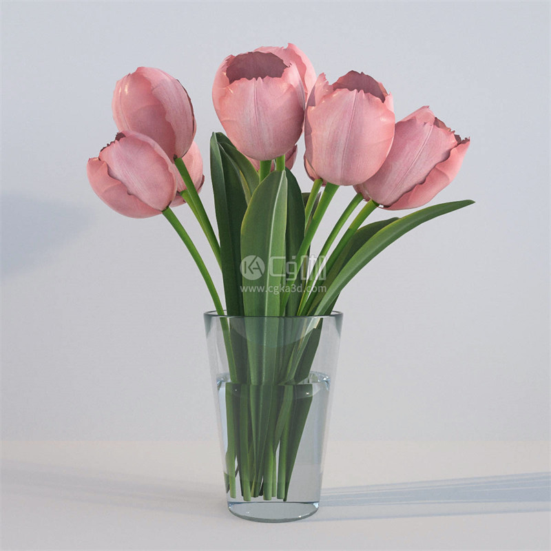 CG咖-粉色郁金香模型花瓶模型鲜花模型