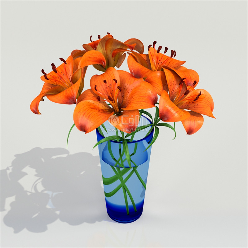 CG咖-百合花模型花瓶模型鲜花模型