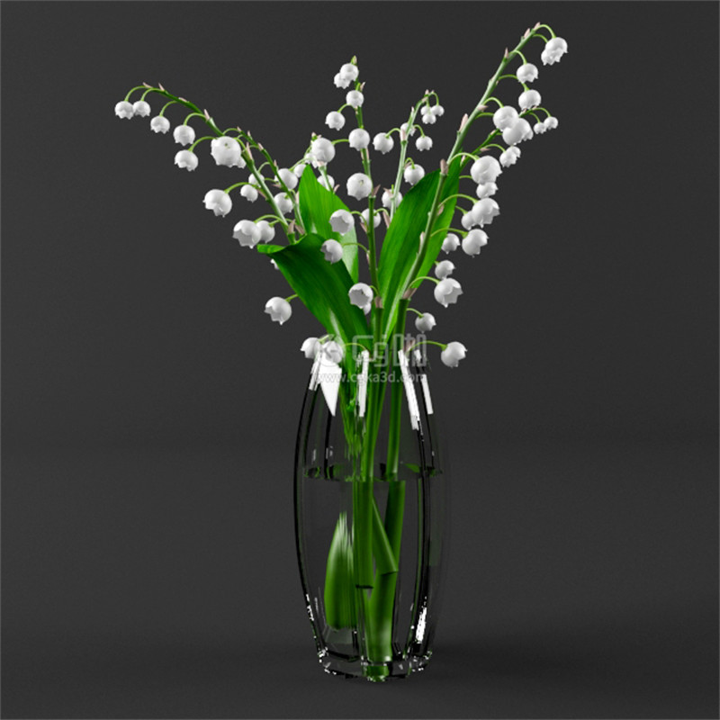 CG咖-铃兰模型花瓶模型鲜花模型