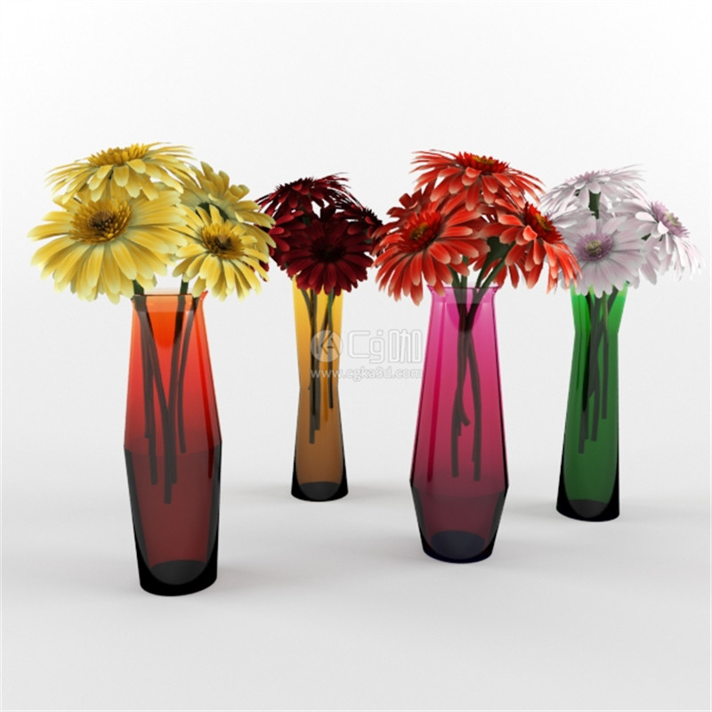 CG咖-花瓶模型非洲菊模型鲜花模型花卉模型菊花模型花瓶模型