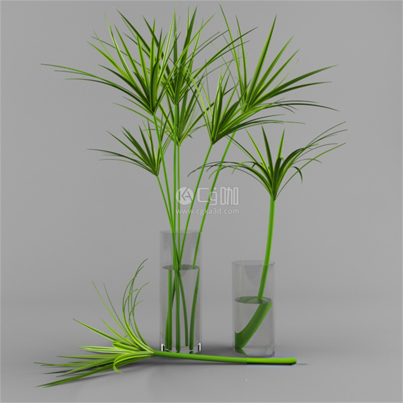 CG咖-植物模型绿植模型