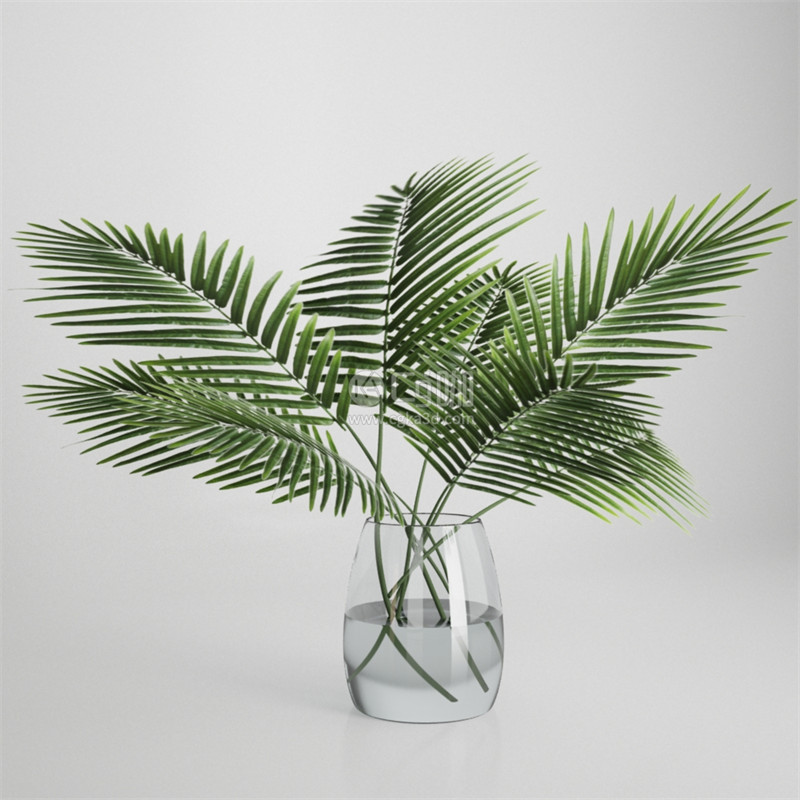 CG咖-绿植模型棕榈模型