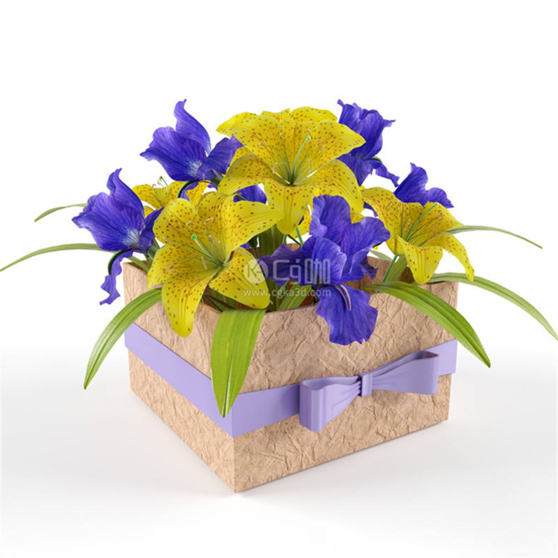 CG咖-鲜花模型花卉模型鲜花盒模型小黄花模型小紫花模型