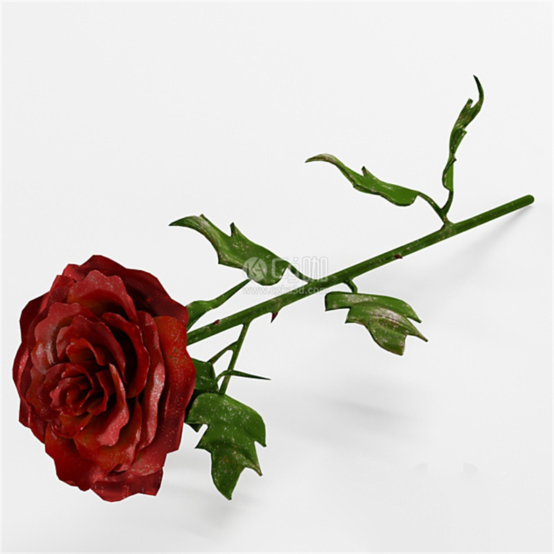 CG咖-金属玫瑰花模型