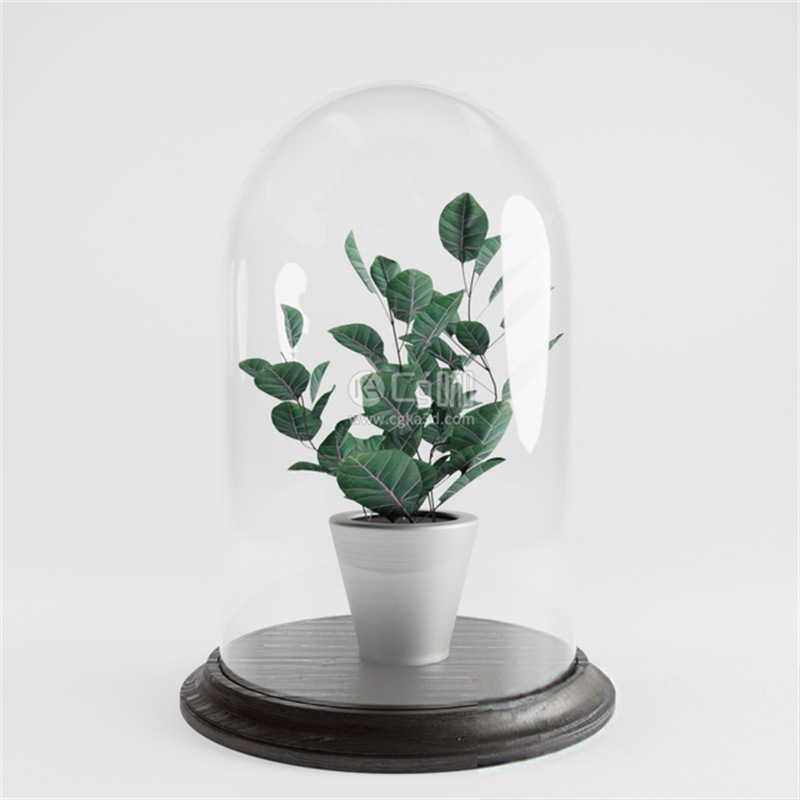 CG咖-盆栽模型玻璃罩模型花盆模型绿植模型