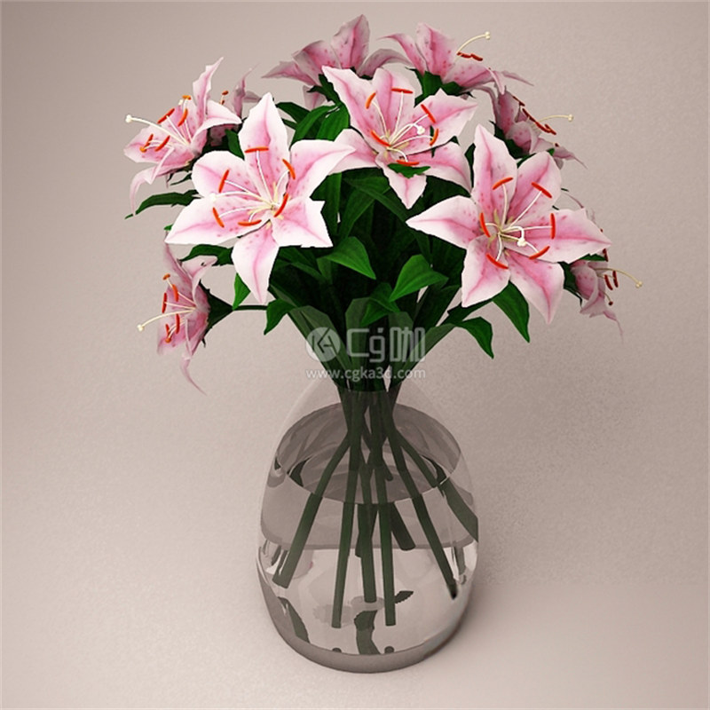 CG咖-鲜花模型花卉模型粉色百合模型花瓶模型