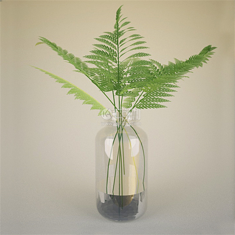 CG咖-蕨类绿植模型花瓶模型