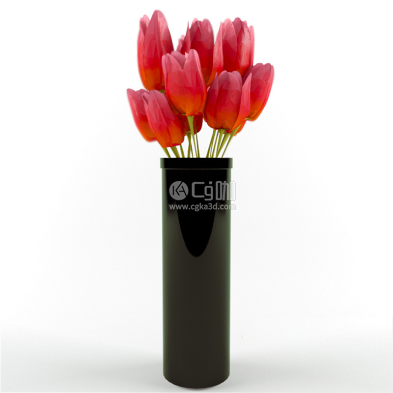 CG咖-花卉模型鲜花模型郁金香模型花瓶模型