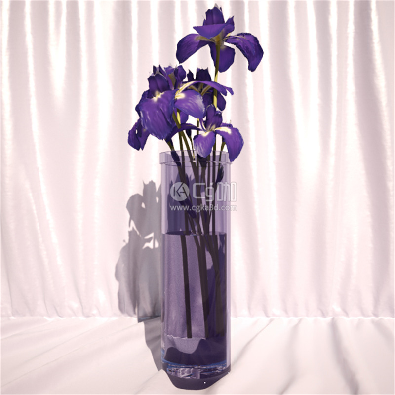 CG咖-花卉模型鲜花模型鸢尾花模型花瓶模型