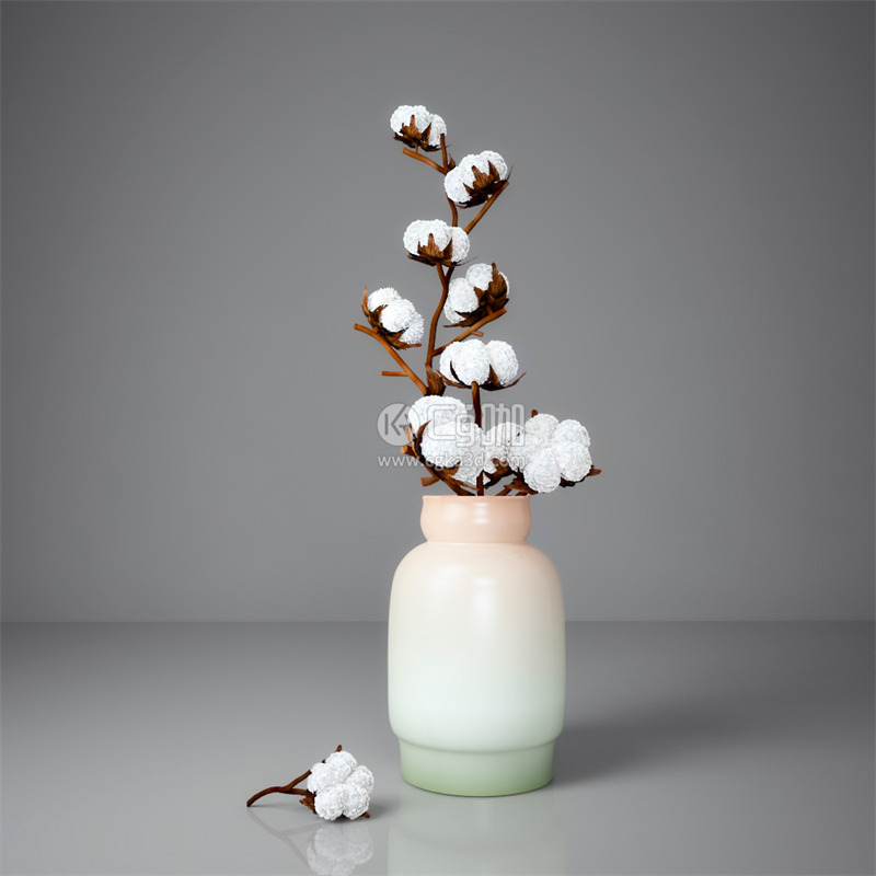 CG咖-棉花模型花瓶模型