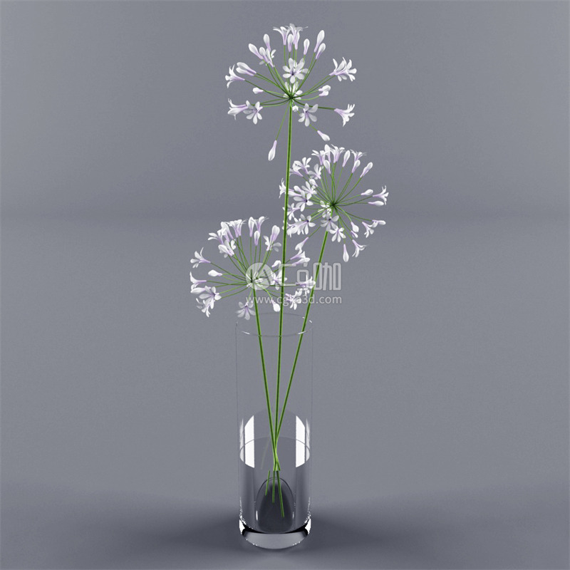 CG咖-百子莲模型花瓶模型小花模型鲜花模型花卉模型