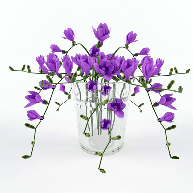 CG咖-小苍兰模型鲜花模型花卉模型花瓶模型小紫花模型