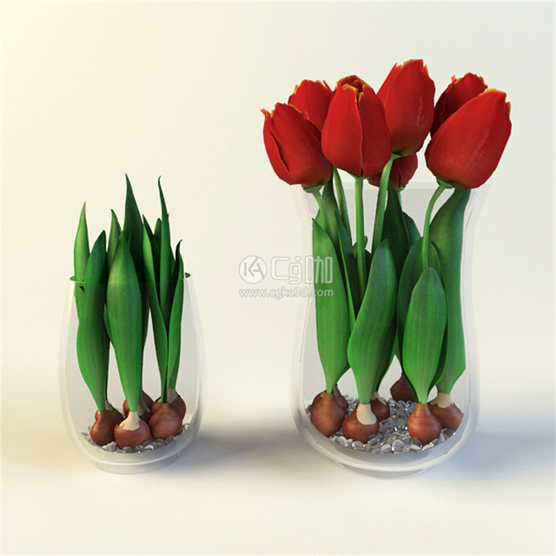 CG咖-郁金香模型花瓶模型鲜花模型花卉模型