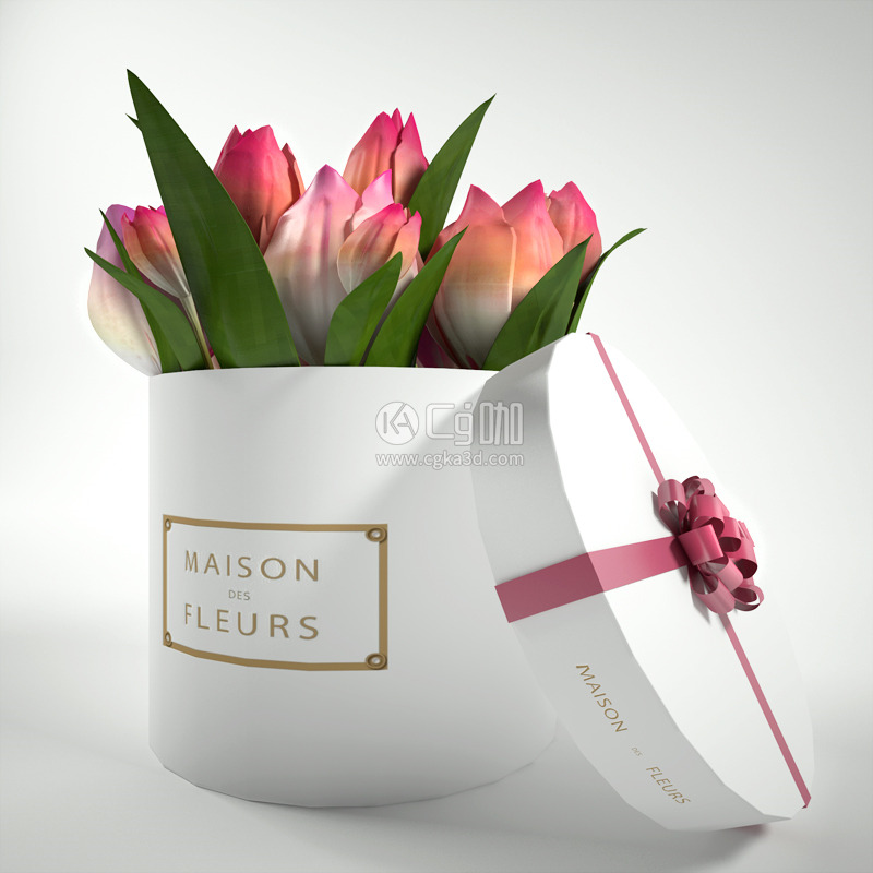 CG咖-礼盒中的郁金香模型鲜花模型花卉模型