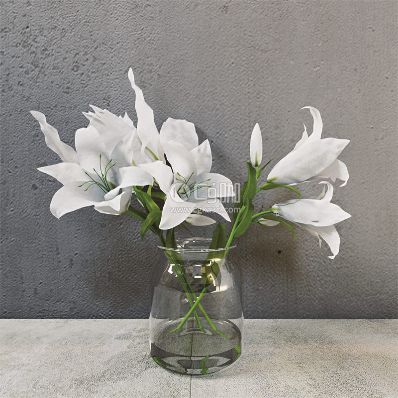 CG咖-白色百合模型鲜花模型花卉模型花瓶模型