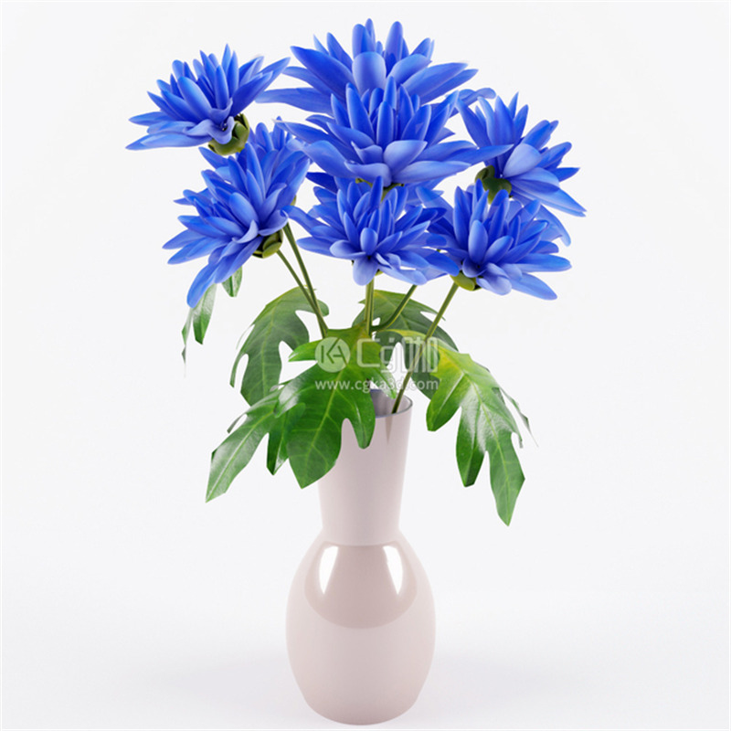 CG咖-鲜花模型花卉模型花瓶模型菊花模型