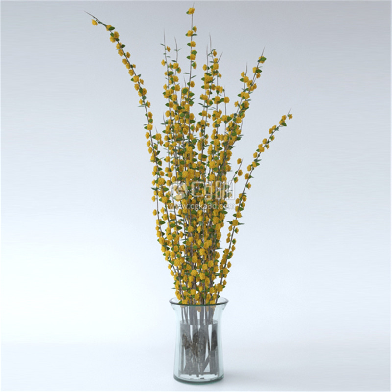 CG咖-鲜花模型花卉模型花瓶模型小黄花模型