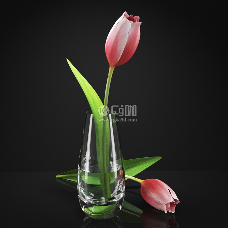 CG咖-郁金香模型鲜花模型花卉模型花瓶模型