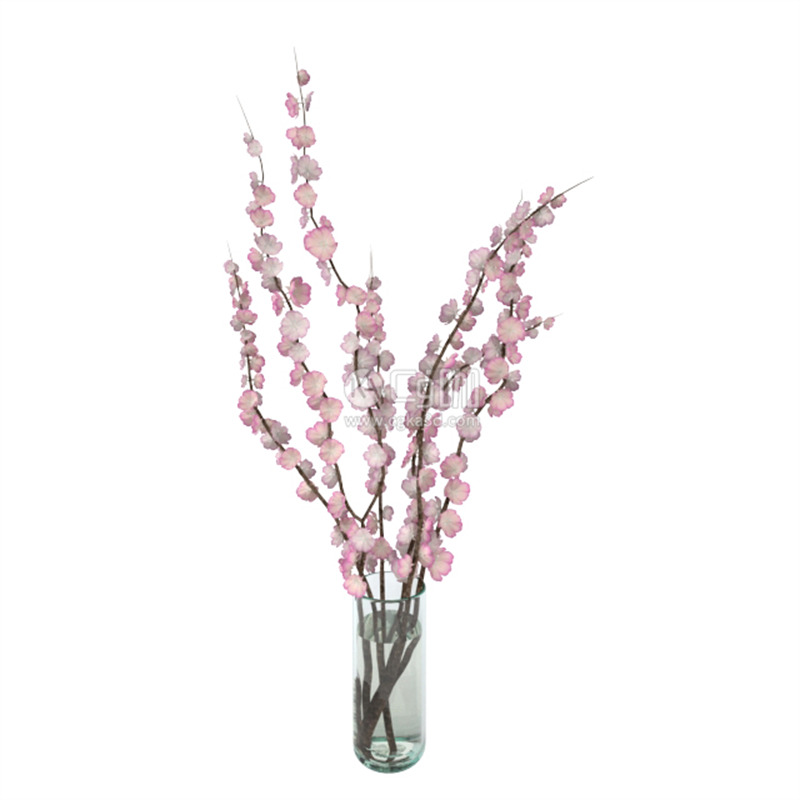 CG咖-鲜花模型花卉模型花瓶模型花束模型