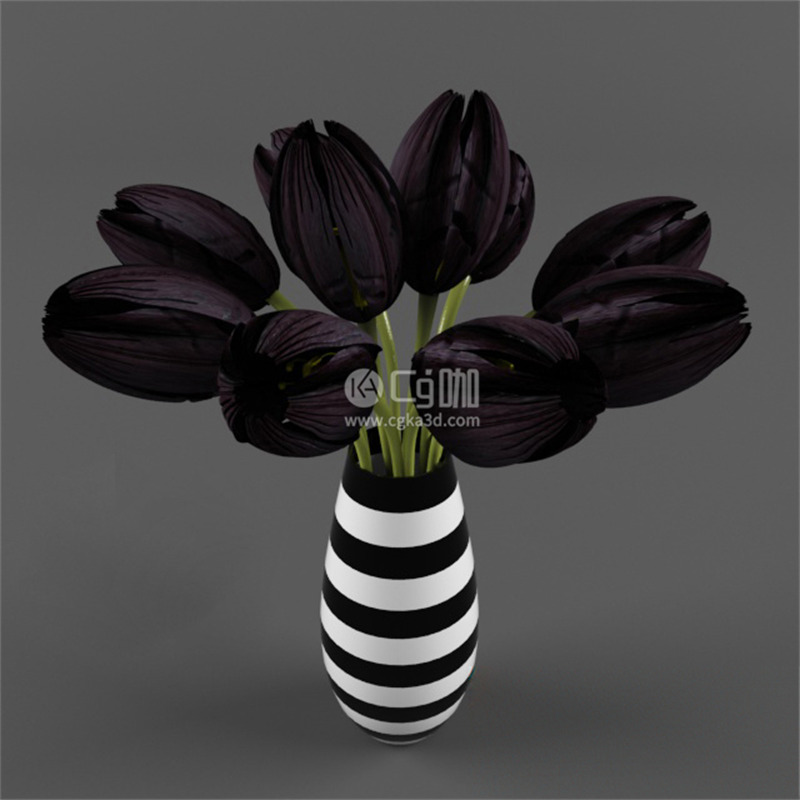 CG咖-黑色郁金香模型花瓶模型鲜花模型花卉模型
