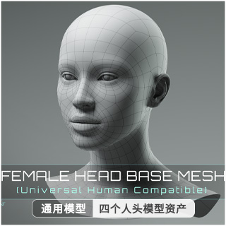3D模型资产-Universal Human四个人头通用模型人头模型男女头部模型