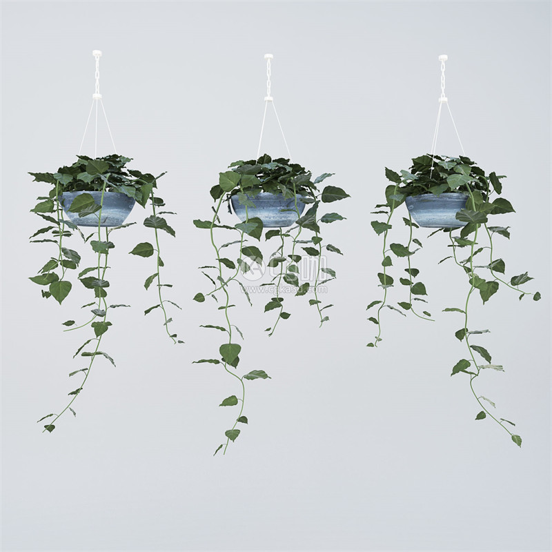 CG咖-绿植模型盆栽模型